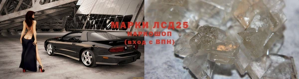 крисы Аркадак