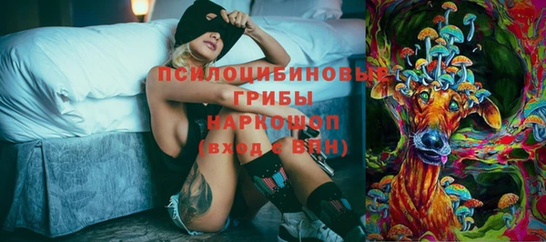 гидропоника Армянск