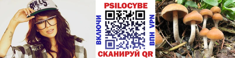 Псилоцибиновые грибы прущие грибы  где найти   Безенчук 